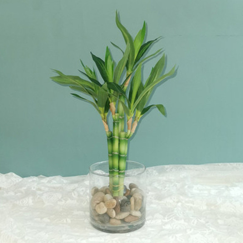 New 40cm rFtificial Lucky Bamb - Desktop Organizer Bamboo avis et prix