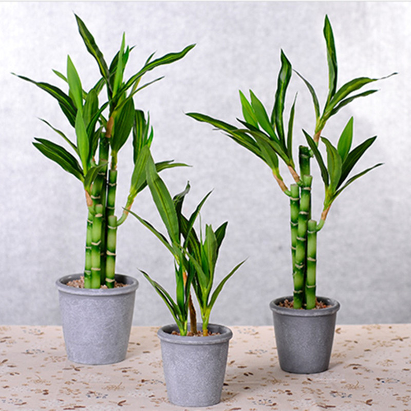 New 40cm rFtificial Lucky Bamb - Desktop Organizer Bamboo avis et prix