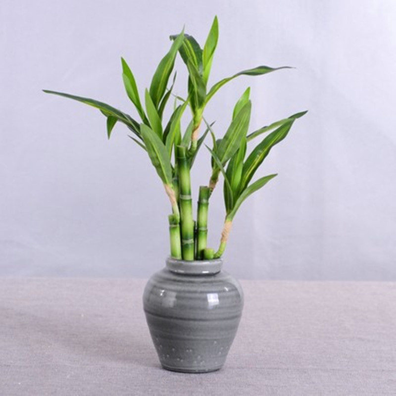 New 40cm rFtificial Lucky Bamb - Desktop Organizer Bamboo avis et prix