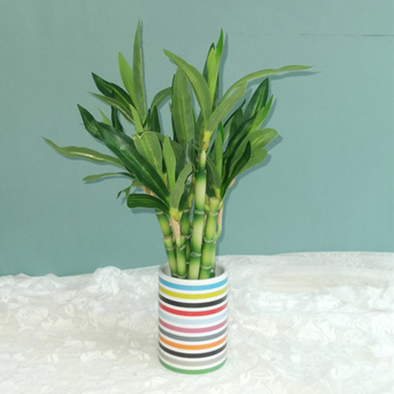 New 40cm rFtificial Lucky Bamb - Desktop Organizer Bamboo avis et prix